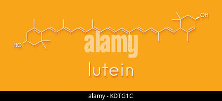 Lutein yellow-orange plant pigment molecule. Used as food and feed additive but also naturally present in many vegetables. Skeletal formula. Stock Photo