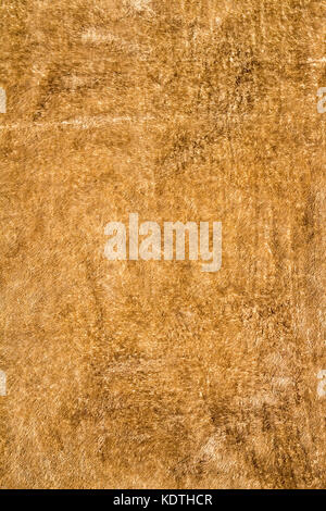 Towel brown background. Stock Photo