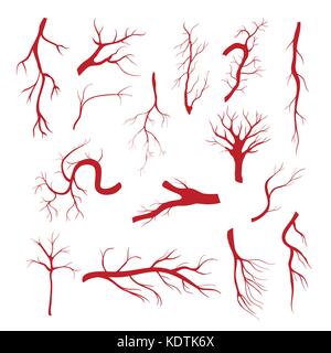 Set of blood vessels - modern vector isolated clip art Stock Vector