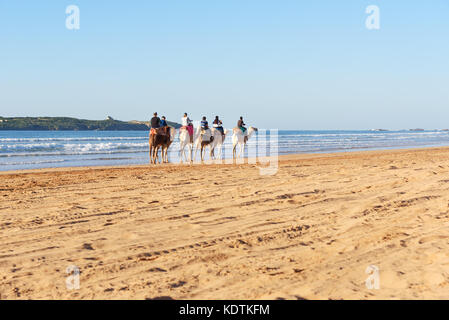 Essaouira, Morocco - December 30, 2016: Camel caravan at beach of Essaouira Stock Photo