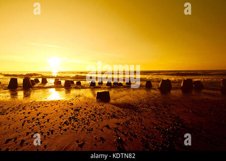 Gold sunset over summer sea. Nature and water. Stock Photo