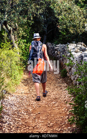 Woman hiking on country footpath with rock fence and woods. Hiker with a hat is trekking through rough jungle terrain on island Silba Croatia. Stock Photo