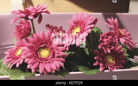 Pretty Pink Artificial Chrysanthemum Flowers for Home and Office Decoration without The Care. Stock Photo