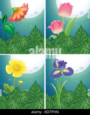 Different types of flowers on fullmoon night illustration Stock Vector