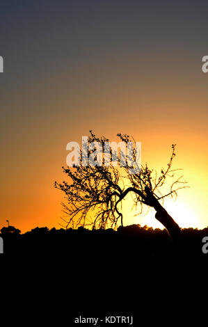 pictures of a getaway in Mallorca, sea cliffs, details of the island and very endearing landscapes Stock Photo