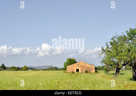 pictures of a getaway in Mallorca, sea cliffs, details of the island and very endearing landscapes Stock Photo