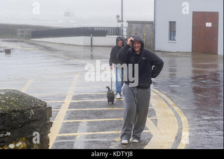 Schull, Ireland. 16th Oct, 2017. UK Weather.  Ex-Hurricane Ophelia hits Schull, Ireland with winds of 80kmh and gusts of 130kmh.  Major structural damage is expected as the worst is yet to come. Members of the public go for a walk with their dog during the hurricane. Credit: Andy Gibson/Alamy Live News. Stock Photo