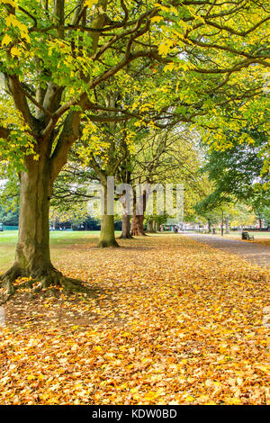 Northampton, UK. Weather, Abington Park, 16th October 2017. A dull overcast late morning with pleanty of Autumn colour in the trees and fallen leaves, Keith J Smith./Alamy Live News Stock Photo
