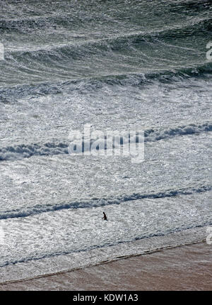 Langland Bay-Swansea, UK. 16th Oct, 2017. UK Weather. A lone swimmer braves the stormy seas at Langland Bay near Swansea this afternoon as the remnants of Hurricane Ophelia hits the British Isles. Credit: Phil Rees/Alamy Live News