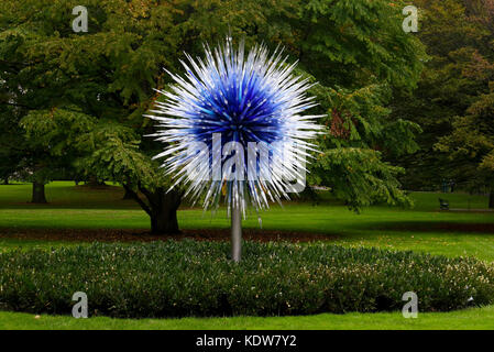 Bronx, New York, USA. 16th Oct, 2017. 'Sapphire Star' (Blown glass and steel), made by glass artist Dale Chihuly held at the Chihuly exhibition at the New York Botanical Garden. The exhibition focuses on mixing blown glass artwork and the natural environment. Credit: Nancy Kaszerman/ZUMA Wire/Alamy Live News Stock Photo