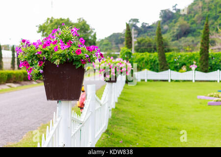 Flower pot on a park wall Stock Photo