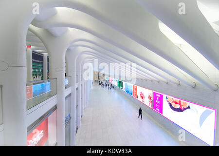 The impressive architecture of the Oculus at the World Trade Center transportation hub in New York city, United States Stock Photo