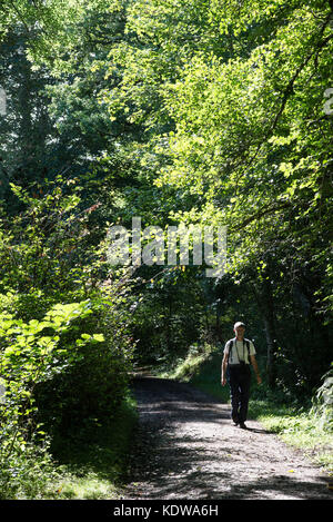 Walking in Balmacaan Woods near Drumnadrochit, Scotland. Stock Photo