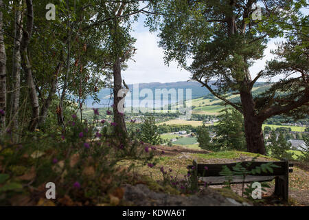 Viewpoint looking across Loch Ness from Balmacaan Woods near Drumnadrochit Scotland Stock Photo