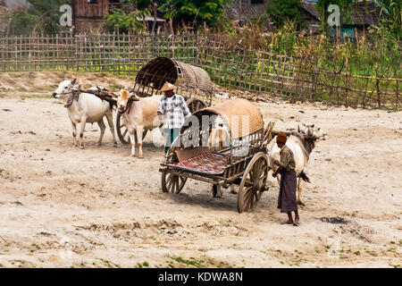 A traditional 'taxi' in Mingun, Min Kun, Myanmar Stock Photo