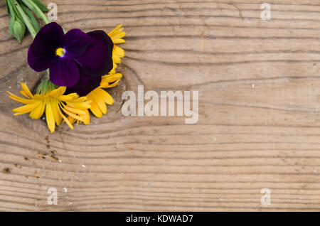 Flowers calendula and violets with a stem in the upper left corner on a new wooden board, texture, background Stock Photo