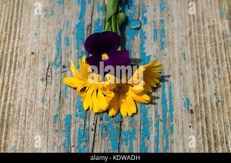 Fresh calendula flowers and violets in the heart on old wooden board painted with blue paint which flakes, texture Stock Photo