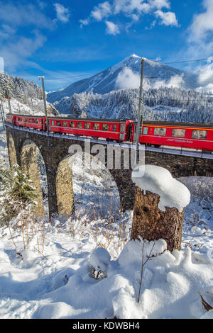 Filisur Pass Bernina Express passes through Landwasser Viadukt and snowy woods ...