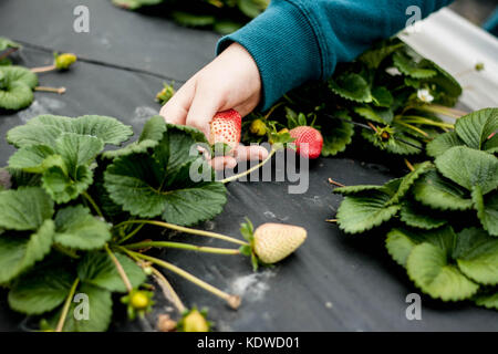 Exclusive to Ģ����ý Stock Photo