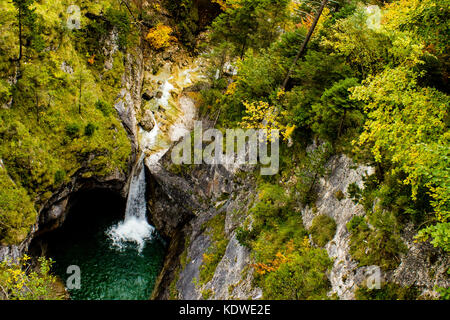 The woods near Neuschwanstein Castle, in Bavaria, Germany Stock Photo