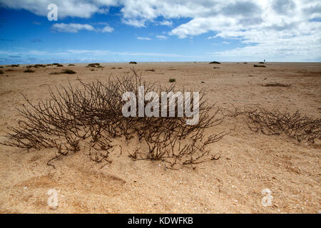 View of the desert landscape on the island of Cape Verde in Summer Stock Photo