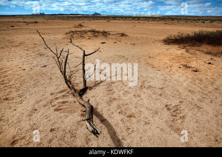 View of the desert landscape on the island of Cape Verde in Summer Stock Photo