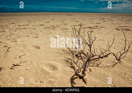 View of the desert landscape on the island of Cape Verde in Summer Stock Photo