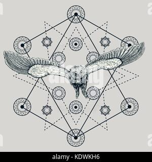 Drawing of a flying owl Stock Vector