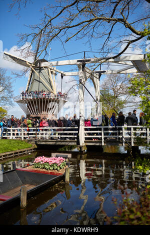 Keukenhof gardens in Holland, famed for its Spring displays of tulips, hyacinths and daffodils Stock Photo