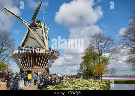 Keukenhof gardens in Holland, famed for its Spring displays of tulips, hyacinths and daffodils Stock Photo