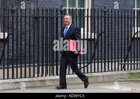 Dr Liam Fox MP is the Secretary of State for International Trade and President of the Board of Trade arriving for a 2.5 hour cabinet meeting at 10 Dow Stock Photo