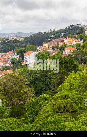 Old Buildings and vegetation in Sintra village, Portugal Stock Photo