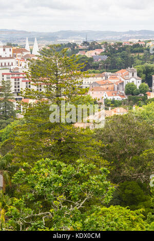 Old Buildings and vegetation in Sintra village, Portugal Stock Photo