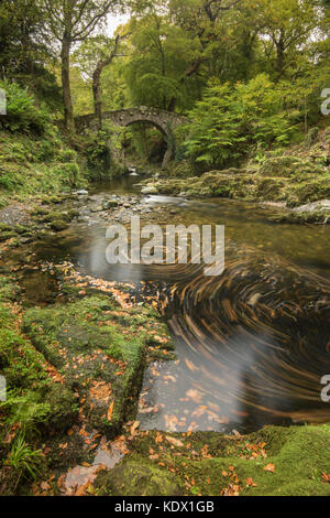 Foley's Bridge, Tollymore Forest