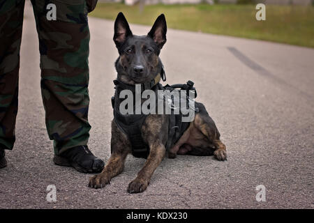 Police k9 2024 tracking harness