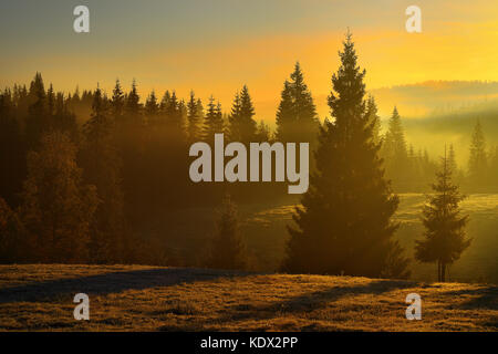 beautiful sunrise in the woods,Apuseni mountains, Romania Stock Photo