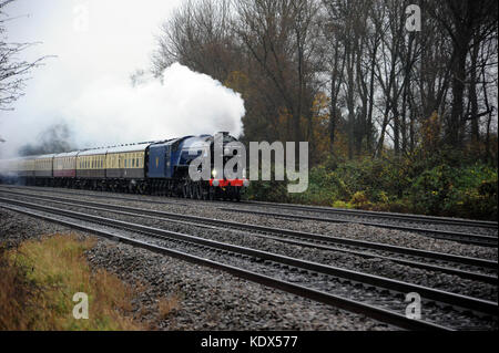 60163 'TORNADO' (on its first public train in B.R. blue) heads a 'CATHEDRALS EXPRESS' at Bishton. Stock Photo