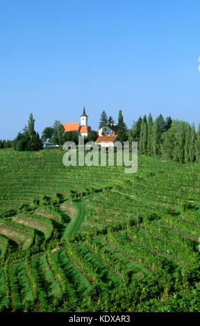 Slowenien Bei Ljutomer Weinbau In Jeruzalem Klapotetz Klopotci Stock Photo Alamy