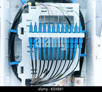 fiber optic active and passive equipment inside a network infrastructure. Stock Photo