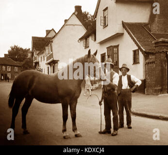 A Suffolk Punch, early 1900s Stock Photo