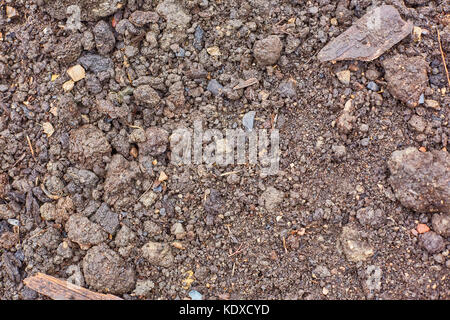 wet earth and small pebbles, texture Stock Photo