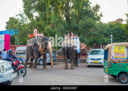 Jaipur, India - September 20, 2017: Unidentified man riding an huge elephant decorated with colors in Jaipur, Rajasthan, India Stock Photo