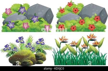 Different types of flowers in bush illustration Stock Vector