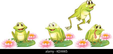Four green frogs on water lily  illustration Stock Vector