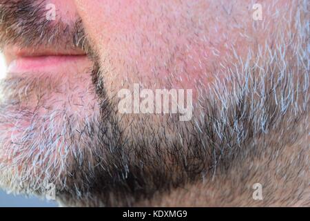 close up of a senior man, grey and black stubble in a man´s face, attractive beard of an elderly man before shaving, Stock Photo