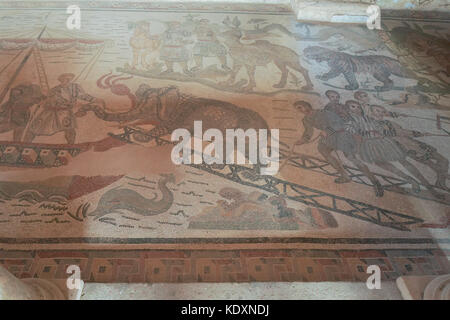 A view of Roman mosaics depicting the capture of animals in Africa from ...