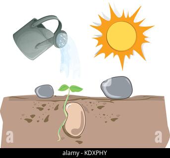 Plant growing from underground illustration Stock Vector