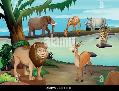 Many wild animals living by the pond illustration Stock Vector