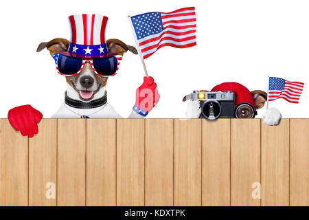 two dogs watching 4th of July parade Stock Photo