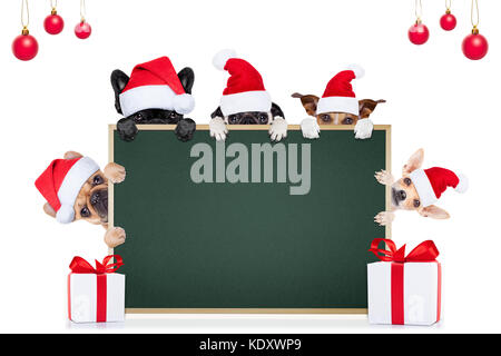 row and group of different santa claus dogs behind an empty blank banner , placard or blackboard, for christmas holidays isolated on white background Stock Photo